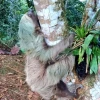 El tráfico de vida silvestre amenaza a la Amazonía ecuatoriana