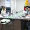CIDH pide medidas a favor de miembros del Consejo de Participación