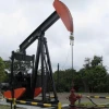 El precio estimado del petróleo ecuatoriano cayó a USD 16,99