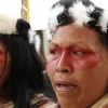 Los waoranis tienen diversas tradiciones que van desde la caza hasta la danza típica