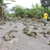 Cultivos afectados por crecida de ríos en Napo