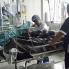 Ecuador vigila su frontera sur ante brote del síndrome de Guillain Barré en Perú