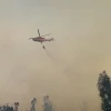 22 incendios forestales se registraron ayer en Quito