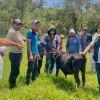 Capacitación impulsa prácticas de ganadería sostenible en productores de Napo
