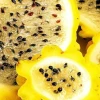 BanEcuador impulsa la producción y exportación de pitahaya amarilla 