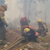 11 incendios forestales se registran en Ecuador