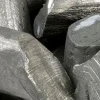 El valor de Lithium Americas se disparó por el interés del Gobierno de EE.UU.
