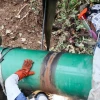 Petroecuador confirmó el despido de 250 trabajadores