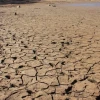 El Niño podría generar pérdidas de más de $10,7 billones para la industria colombiana