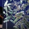Un gigantesco árbol de la Amazonía es protagonista de museo en Río de Janeiro