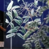 Un gigantesco árbol de la Amazonía es protagonista de museo en Río de Janeiro