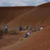 Perú: Diente de espinosaurio conmociona a la comunidad científica