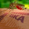 Número de infectados por Zika se ubica 857 personas en seis meses