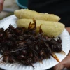 Las hormigas culonas, un manjar de la región amazónica