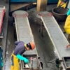 La minería se proyecta como un eje de reactivación productiva para el país