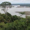 Pueblos indígenas piden a la humanidad actuar con urgencia para salvar la Amazonía