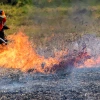 Incendios en Bolivia, Paraguay y Brasil provocan las más altas emisiones de CO2 en 20 años