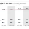 Pese a las rebajas, la OPEP destaca como "saludable" la dinámica del mercado
