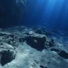Un estudio reveló que zonas fracturadas con agua atrapada dentro de la falla Gofar limitan el crecimiento de los terremotos
                                                width=