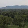 La Amazonía experimenta mayor incremento de carbono 