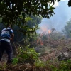 A salvo animales de zoológico en Baños tras incendio forestal