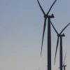 Los combustibles fósiles no podrán ser sustituidos por energías renovables, según la OPEP