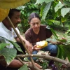 Chocolate ecuatoriano fue promocionado en degustación virtual