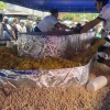 Puyo fue escenario del ceviche volquetero gigante