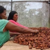 Ecuador: las mujeres waorani y su trabajo para proteger el bosque amazónico
