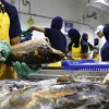 Ecuador ratifica que cumple con medidas sanitarias para productos acuícolas y pesqueros