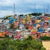Dengue, la otra pandemia que amenaza a Ecuador