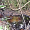 Estudio de red católica recoge problemas socioambientales de territorio amazónico