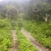 Hallaron supuesta base clandestina de grupos irregulares en Sucumbíos