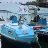 La reserva de Galápagos está en el foco de un polémico canje de deuda