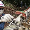 Principales noticias de Ecuador hoy - 31 de diciembre de 2024 