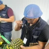 La piña ecuatoriana llega a Perú 