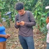 Napo: ‘Jóvenes en Acción’ ya tiene 400 inscritos 