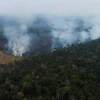 Cerca de 300 incendios registrados en la Amazonía desde inicios de 2021