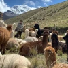 Principales noticias de Ecuador hoy - 8 de julio de 2024 