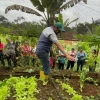 45 productores de El Chaco se beneficiaron con insumos agrícolas subsidiados