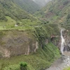 Ecuador tiene un nuevo bosque protector