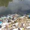 Río Teaone pierde la batalla contra con la contaminación