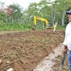 Se adecúan terrenos para mejorar la producción de plátano en Yantzaza