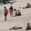 Galápagos, entre los embates de la pandemia y restricciones medioambientales