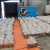 Países Bajos incautó 8 toneladas de cocaína de Ecuador, la mayor captura de su historia