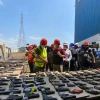 Las Fuerzas Armadas destruyeron 4.254 armas de fuego