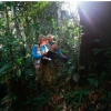 Emergencia en la Amazonía: dos tercios de las especies de la región bajo amenaza por deforestación