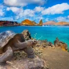 Animales de Galápagos