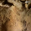 Una cueva en Francia alberga los grabados más antiguos hechos por neandertales