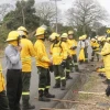 100.000 hectáreas afectadas en cinco años por incendios forestales